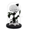 Roses éternelles by The Luxury Box (5)