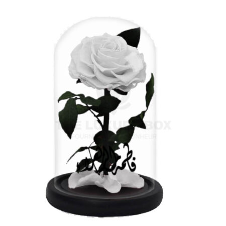Roses éternelles by The Luxury Box (5)