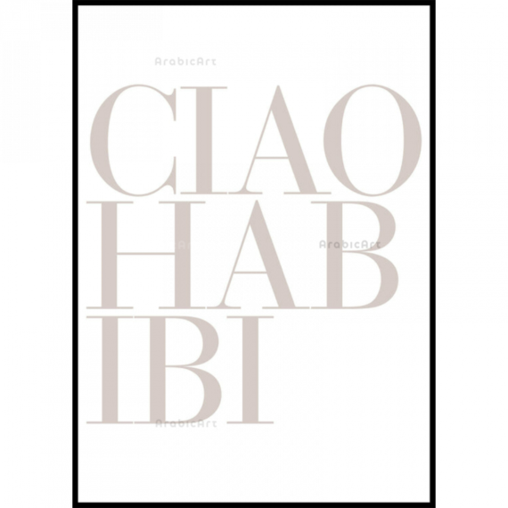 The-Muslim-Poster-Box-16.png