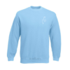 Pull Palestine - Bleu clair