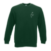 Pull Palestine -Vert