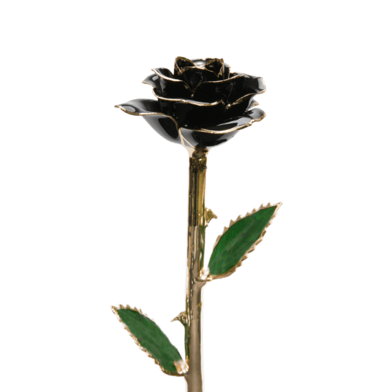 24KRoseBlack_2048x.png
