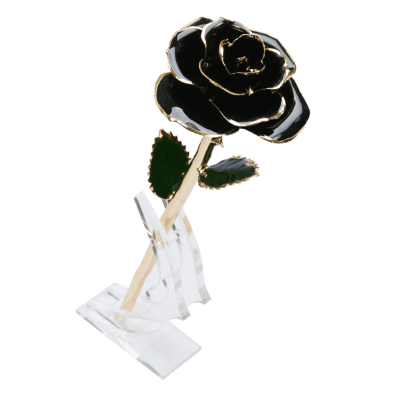 24KRoseBlack_9e05db3d-0252-4124-9fab-bd43c4808a8b_2048x.png