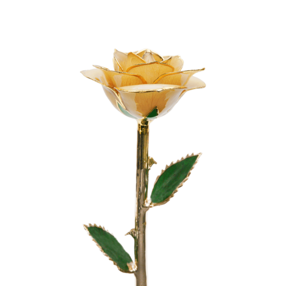 24KRoseHoney_2048x.png