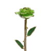 24KRoseLime_2048x.png