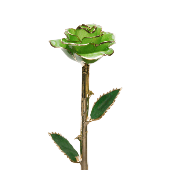 24KRoseLime_2048x.png
