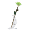 24KRoseLime_e92bc1a5-61b2-4176-b4c5-70d9f2cd880f_2048x.png