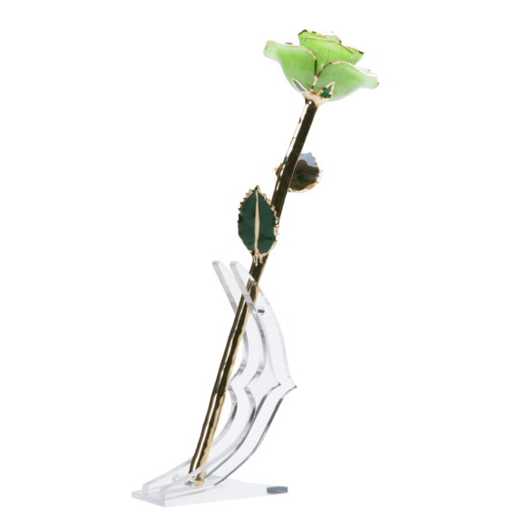 24KRoseLime_e92bc1a5-61b2-4176-b4c5-70d9f2cd880f_2048x.png