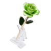 24KRoseLime_f7e71b5b-a822-4a17-afc6-96ba24b53f06_2048x.png