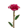 24KRoseMagenta_2048x.png