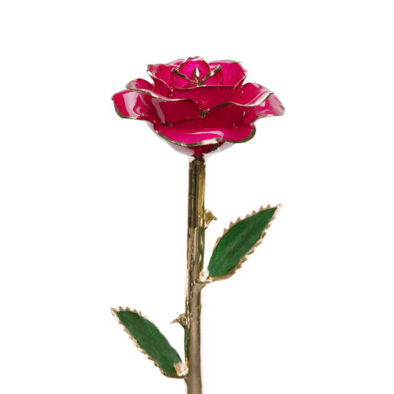 24KRoseMagenta_2048x.png