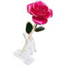24KRoseMagenta_57b79ba1-d44b-4f0f-9e9b-db032660d6ec_2048x.png