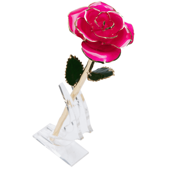 24KRoseMagenta_57b79ba1-d44b-4f0f-9e9b-db032660d6ec_2048x.png
