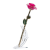 24KRoseMagenta_fa100abf-04da-4c03-8913-ca1d1fe012c7_2048x.png