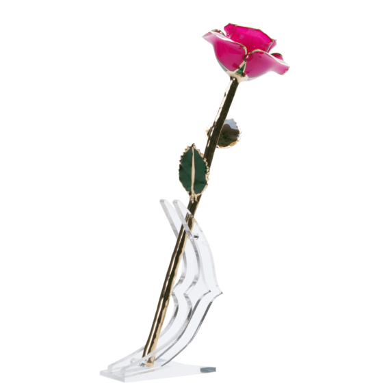 24KRoseMagenta_fa100abf-04da-4c03-8913-ca1d1fe012c7_2048x.png