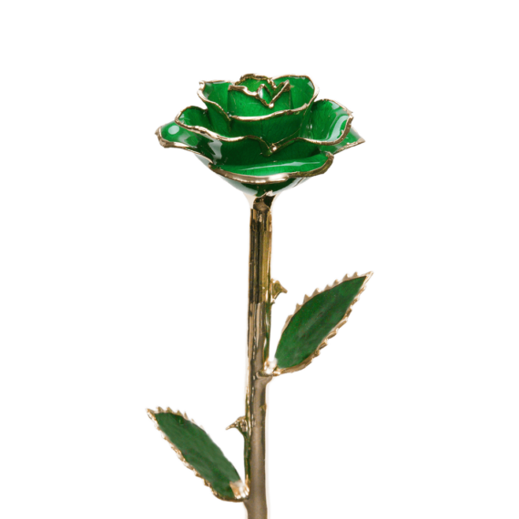 24KRoseMintGreen_2048x.png