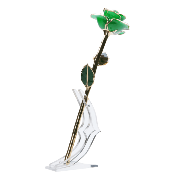 24KRoseMintGreen_3334c7d7-5a9d-4514-a8c8-75864e9faac3_2048x.png