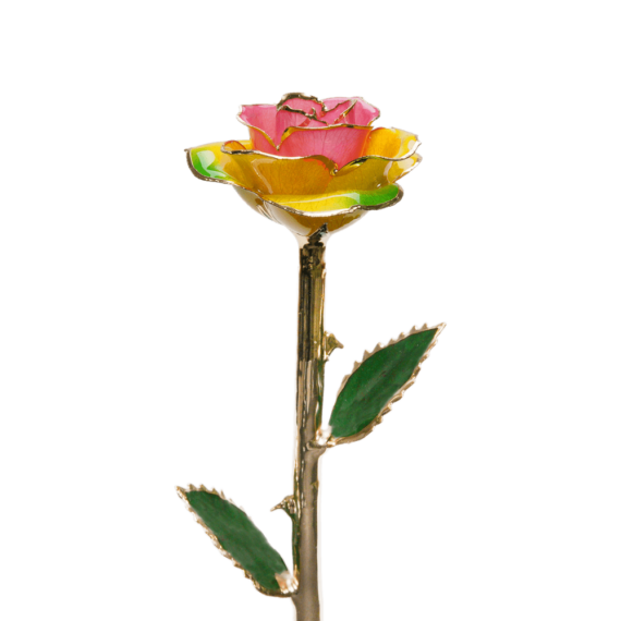 24KRoseRainbow_2048x.png