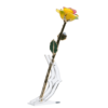 24KRoseRainbow_b72aa3da-6867-4be9-9ddc-315a04e89987_2048x.png