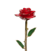 24KRoseRed_1296x.png