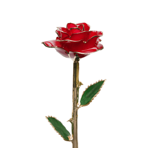 24KRoseRed_1296x.png