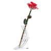 24KRoseRed_3827e1ff-a652-4ea7-b9ef-afe97cc51dc5_720x.png