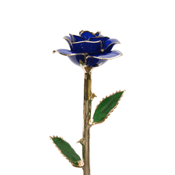 24KRoseRoyalBlue_2048x.png