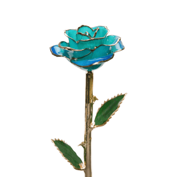 24KRoseTiffanyBlue_a84fa61d-bc81-453e-b941-ed18fab7baa6_2048x.png