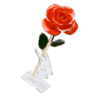 24KRoseUnknown_1ce46fd2-7561-4088-b91a-63a5cfe7d80f_2048x.png