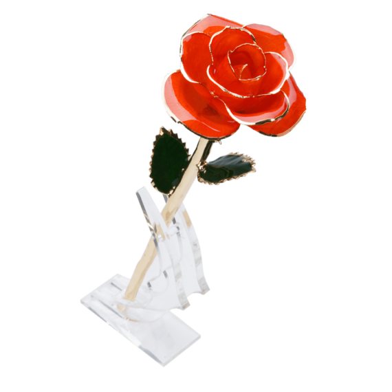 24KRoseUnknown_1ce46fd2-7561-4088-b91a-63a5cfe7d80f_2048x.png