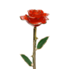24KRoseUnknown_2048x.png