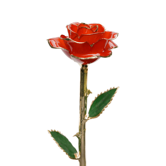 24KRoseUnknown_2048x.png