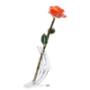 24KRoseUnknown_eb9bc6ce-b885-441a-915f-869db3aa9437_2048x.png