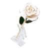 24KRoseWhite_78933acc-f935-431d-8af0-b88e39ea79d8_2048x.png