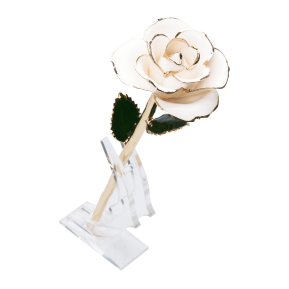 24KRoseWhite_78933acc-f935-431d-8af0-b88e39ea79d8_2048x.png