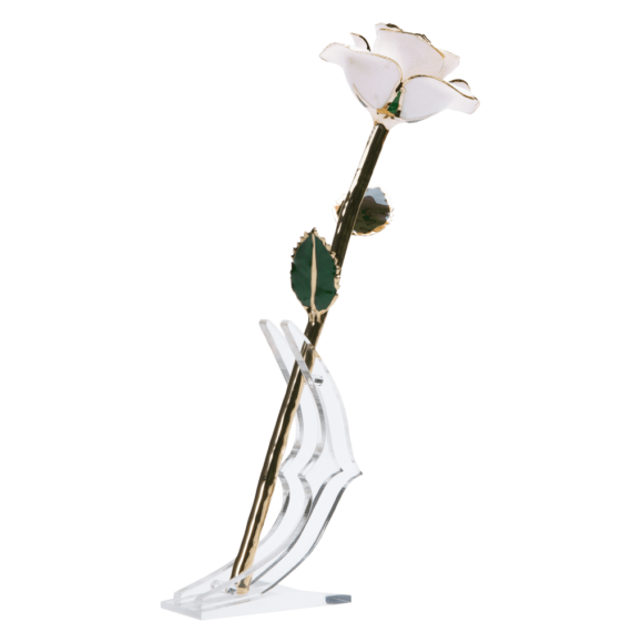 24KRoseWhite_dae28672-953b-4091-b16e-f8d62a5dedba_2048x.png
