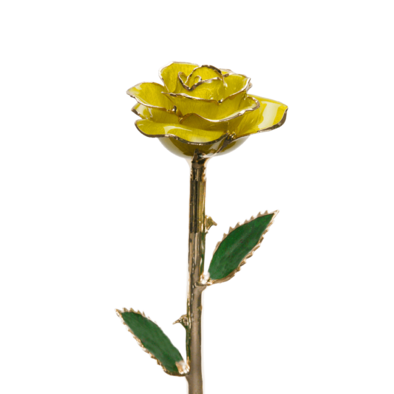 24KRoseYellow_2048x.png