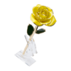 24KRoseYellow_d4db7ee8-38f8-4e63-b8d6-60319e22318e_2048x.png