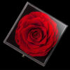 Coffret-de-fleurs-4.jpg