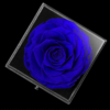 Coffret-de-fleurs-4.png