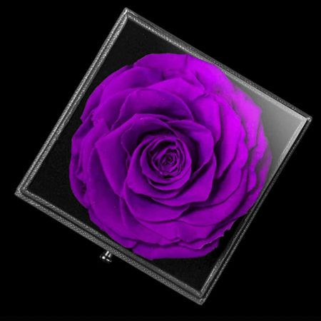 Coffret-de-fleurs-43.png