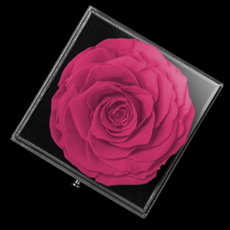 Coffret-de-fleurs-4CC.png