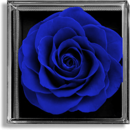Coffret-de-fleurs-5.png