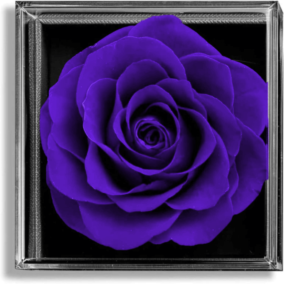 Coffret-de-fleurs-501.png