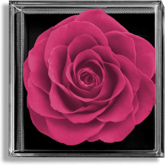 Coffret-de-fleurs-5QS.png