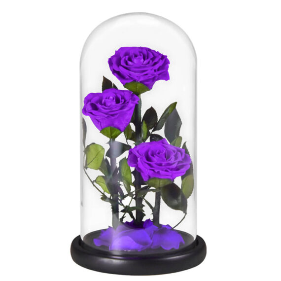 Grande-Rose-Sous-Cloche-1.jpg