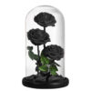 Grande-Rose-Sous-Cloche-2.jpg