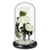 Grande-Rose-Sous-Cloche-3.jpg