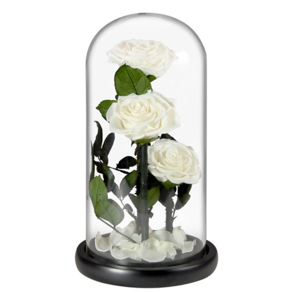 Grande-Rose-Sous-Cloche-3.jpg