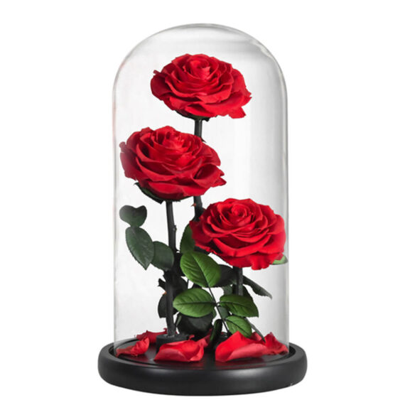 Grande-Rose-Sous-Cloche-4.jpg